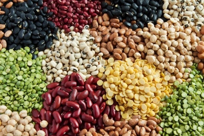 فروش حبوبات