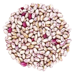 لوبیا چیتی
