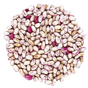 لوبیا چیتی
